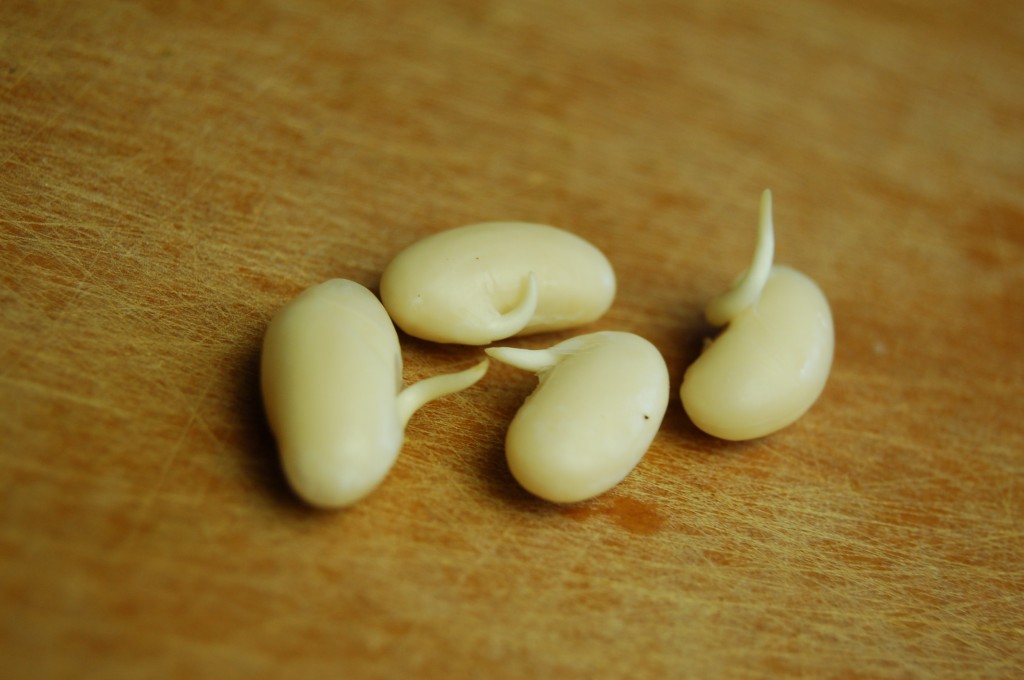 a simple real food recipe :: sprouted white bean and garlic soup