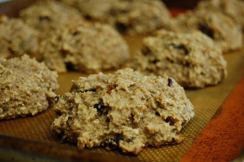 a simple real food recipe :: super fast breakfast cookies :: allergen free options