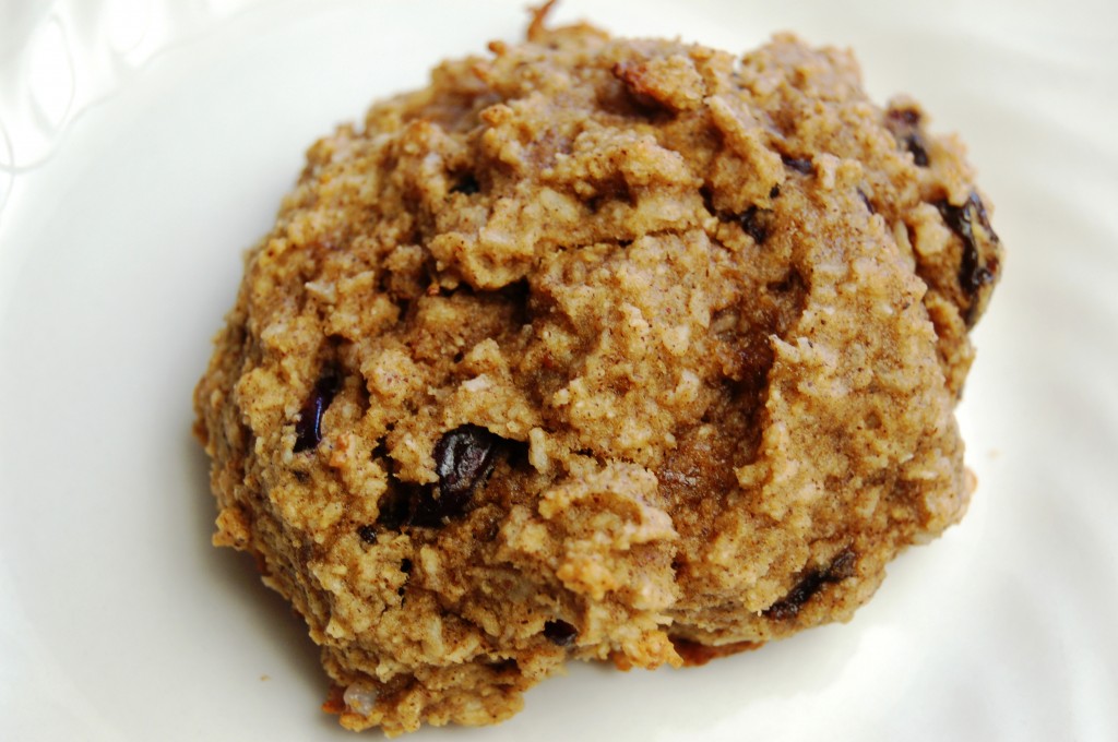 a simple real food recipe :: super fast breakfast cookies :: allergen free options