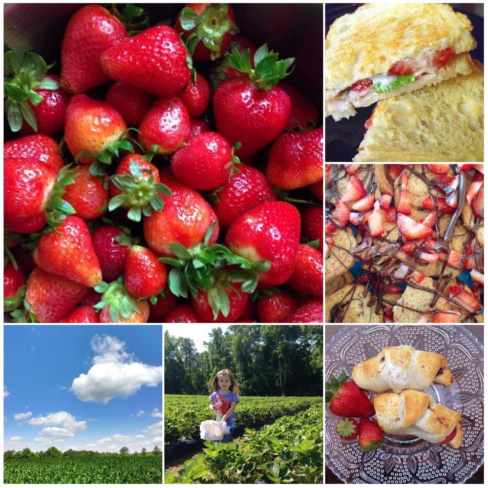Momentage Berry Happy