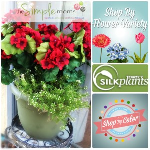 silk plants featured image