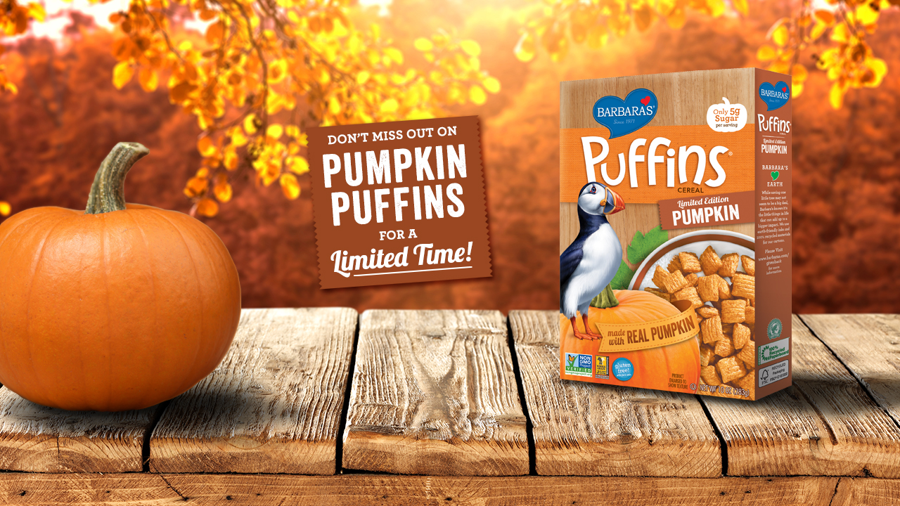 barbara's pumpkin puffin