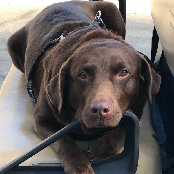 Bella