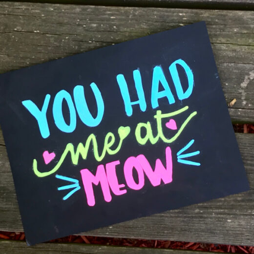 You had me at meow