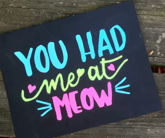 You had me at meow