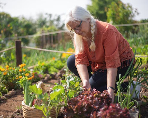 Image credithttps://www.pexels.com/photo/an-elderly-man-in-a-vegetable-garden-7658811/